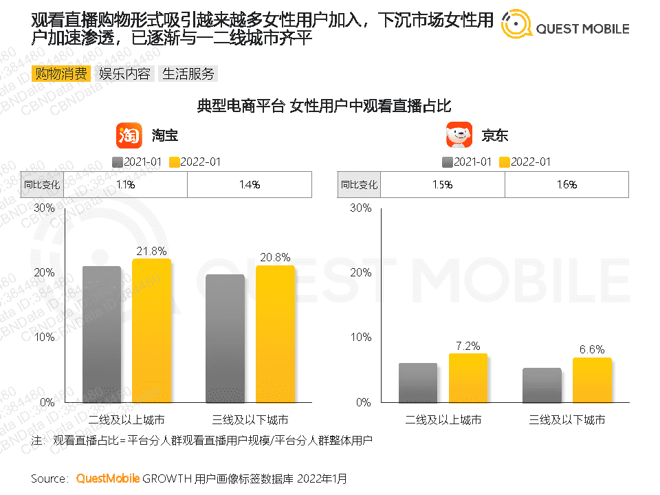 QuestMobile2022年她经济洞察报告(图12)