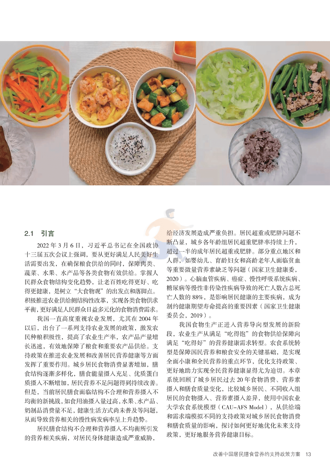2022年中国与全球食物政策报告(图20)