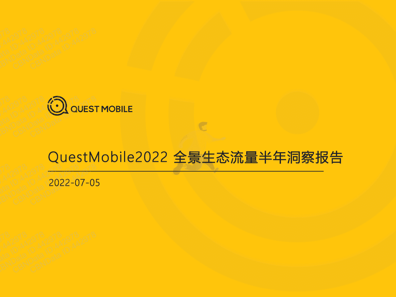 2022全景生态流量半年洞察报告