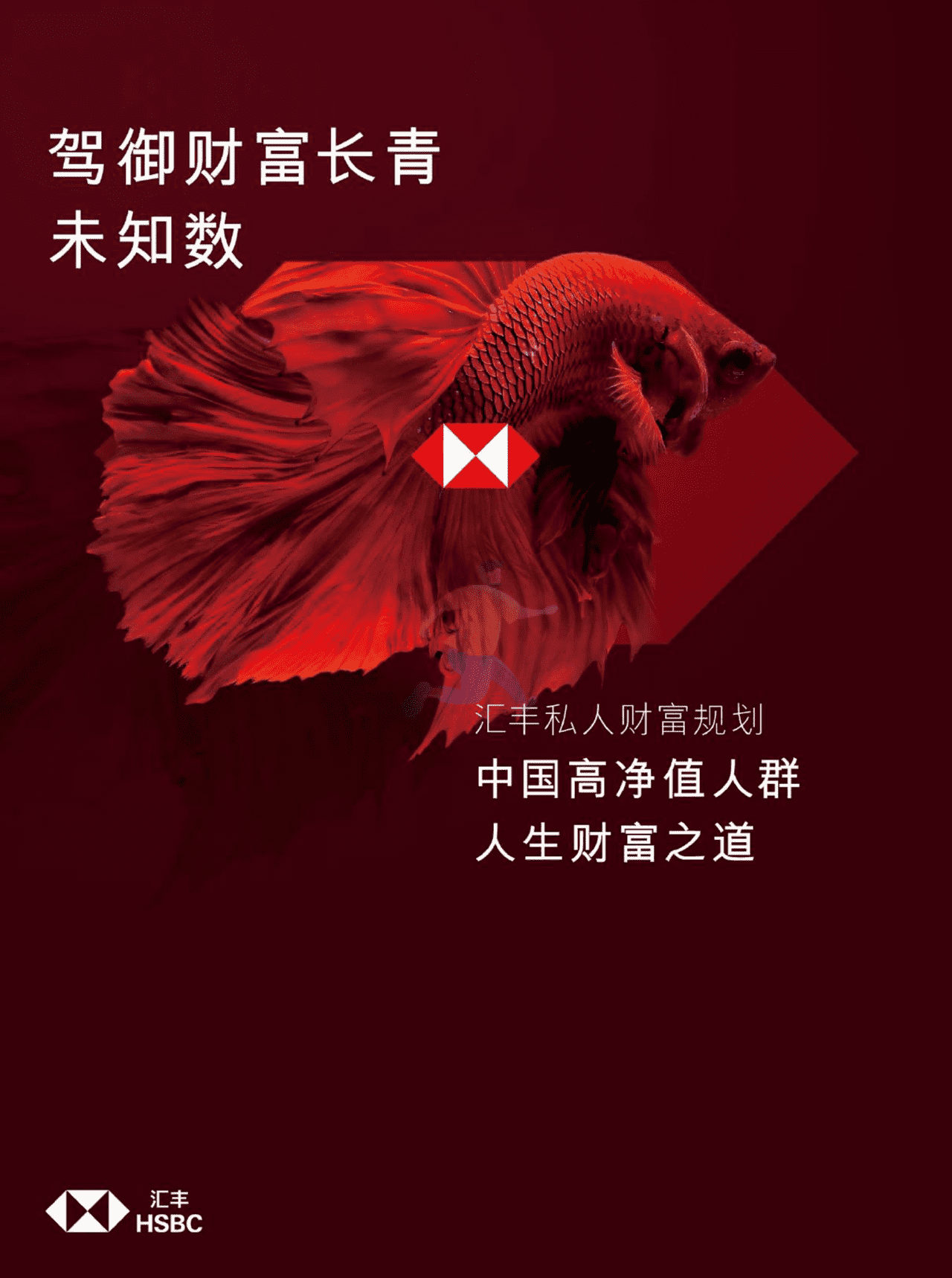 汇丰私人财富规划：中国高净值人群人生财富之道(简约版)