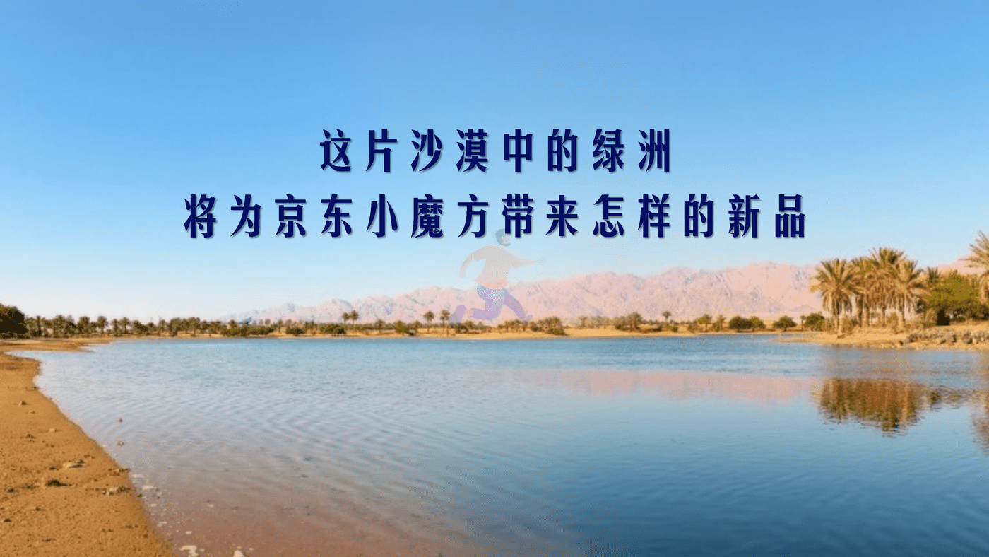 特仑苏 X 京东小魔方沙漠有机奶上市方案 (2).png