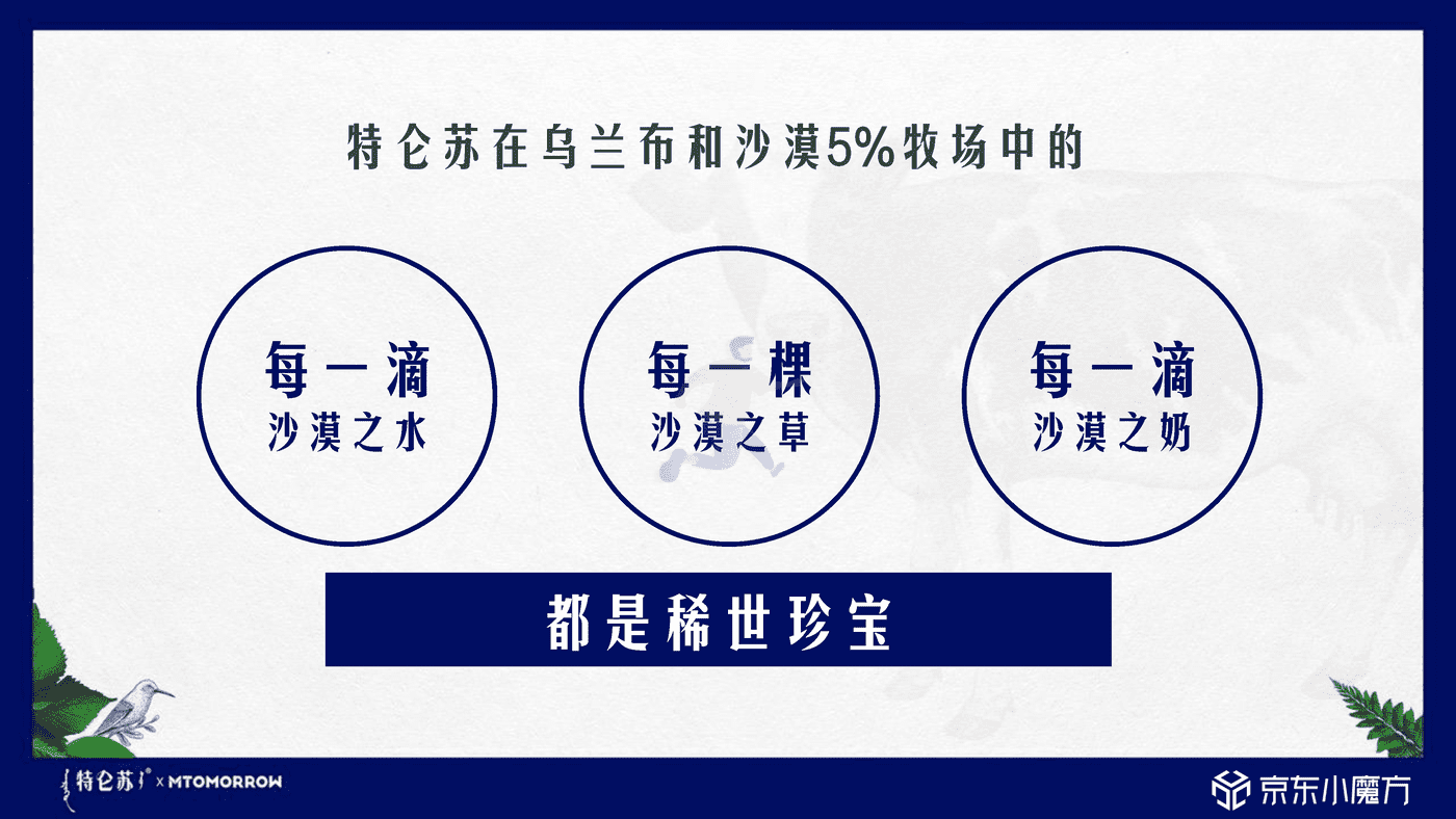 特仑苏 X 京东小魔方沙漠有机奶上市方案 (13).png