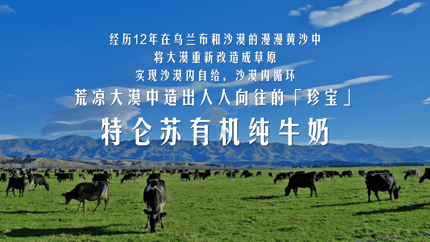特仑苏 X 京东小魔方沙漠有机奶上市方案 (14).png
