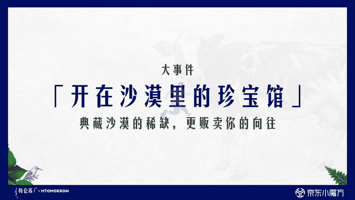 特仑苏 X 京东小魔方沙漠有机奶上市方案 (19).png