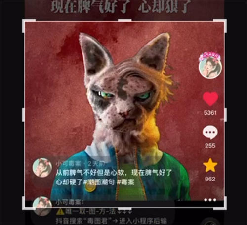 “毒文案”抖音短视频项目玩法(一） 网赚 抖音 博客运营 第10张