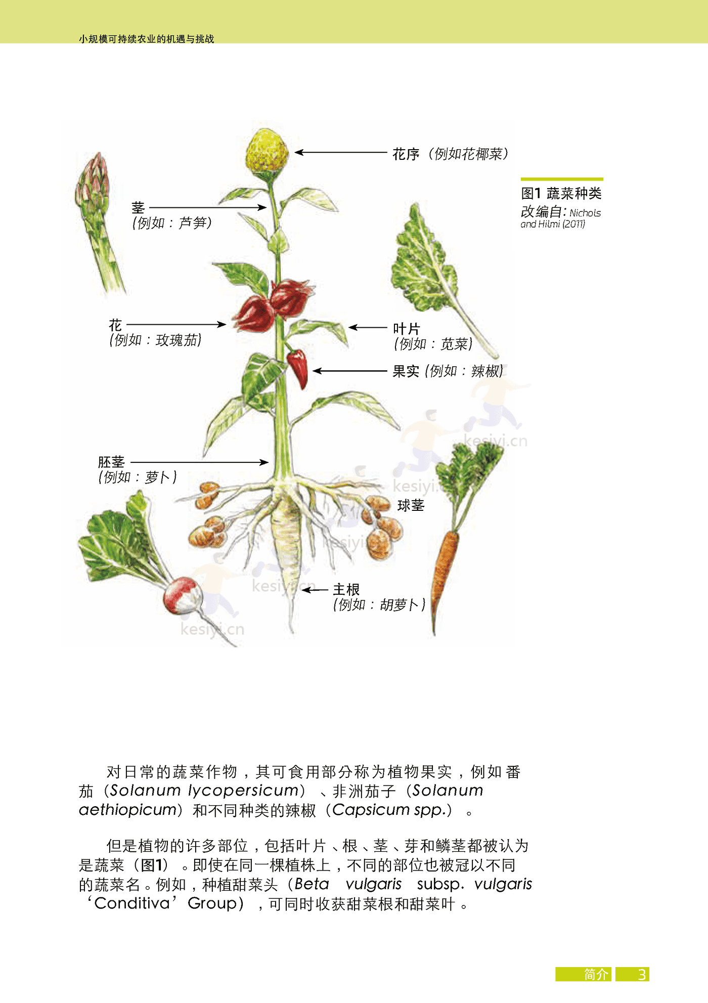 水果与蔬菜-小规模可持续农业的机遇与挑战 (19).png