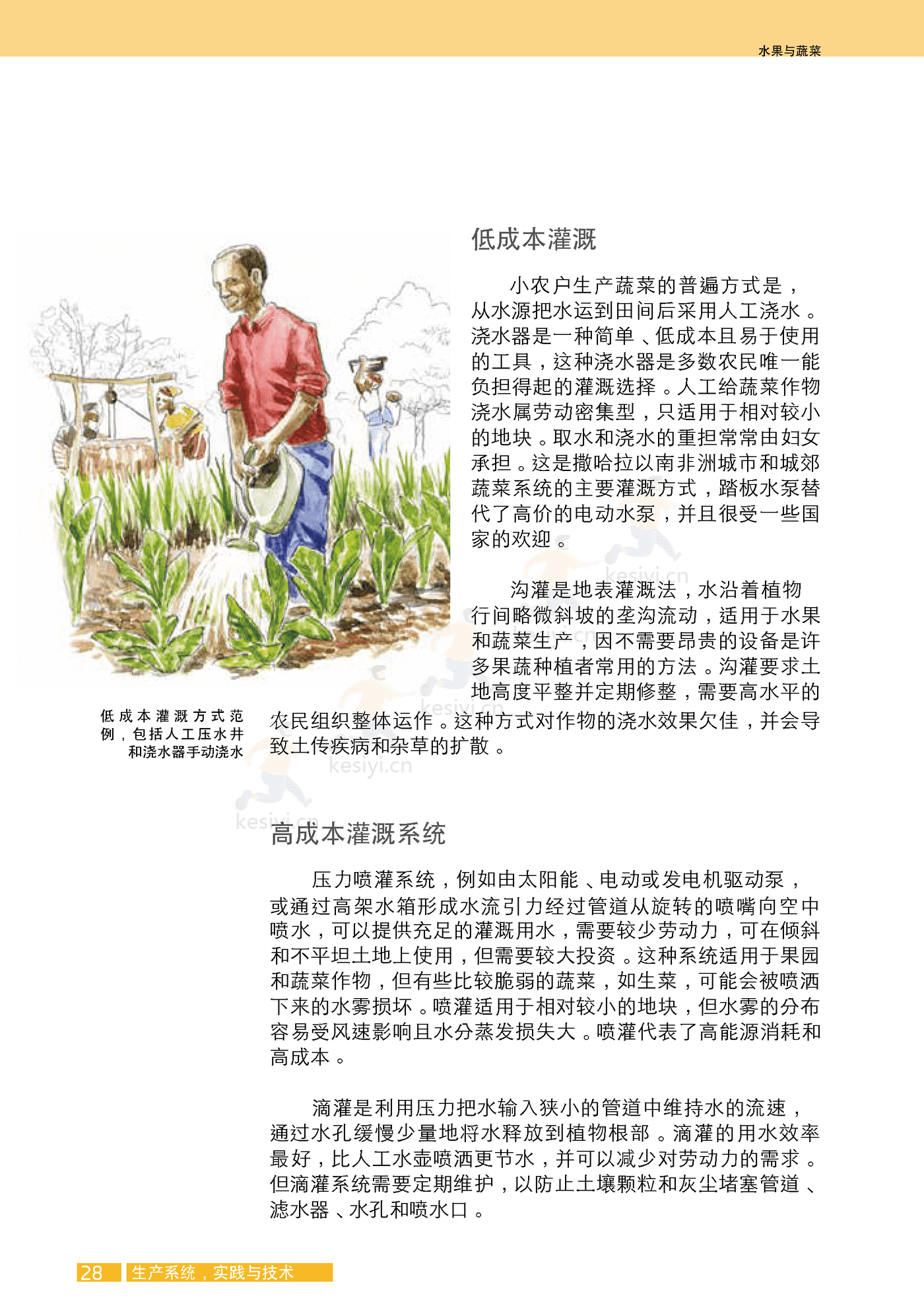 水果与蔬菜-小规模可持续农业的机遇与挑战 (44).png