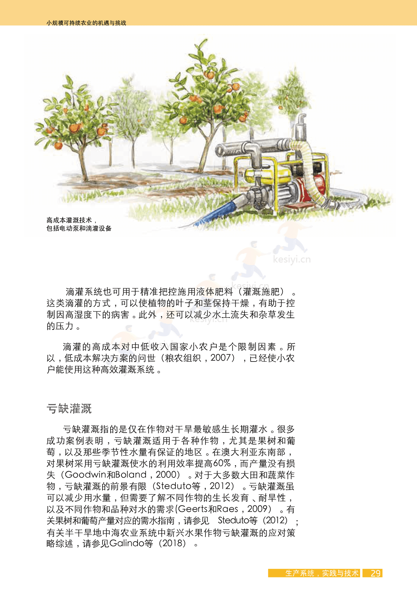 水果与蔬菜-小规模可持续农业的机遇与挑战 (45).png