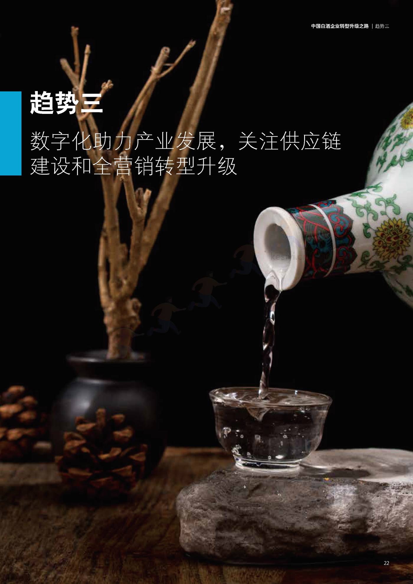 德勤(Deloitte):中国白酒企业转型升级之路 德勤(Deloitte):中国白酒企业转型升级之路