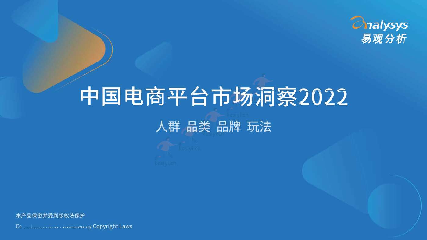 中国电商平台市场洞察2022 中国电商平台市场洞察2022