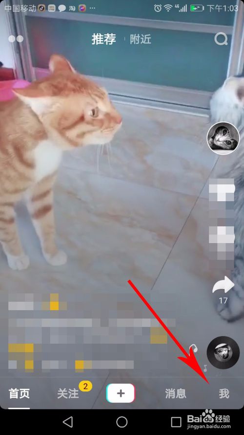 抖音怎么知道谁看过我(抖音访客查看的方法)