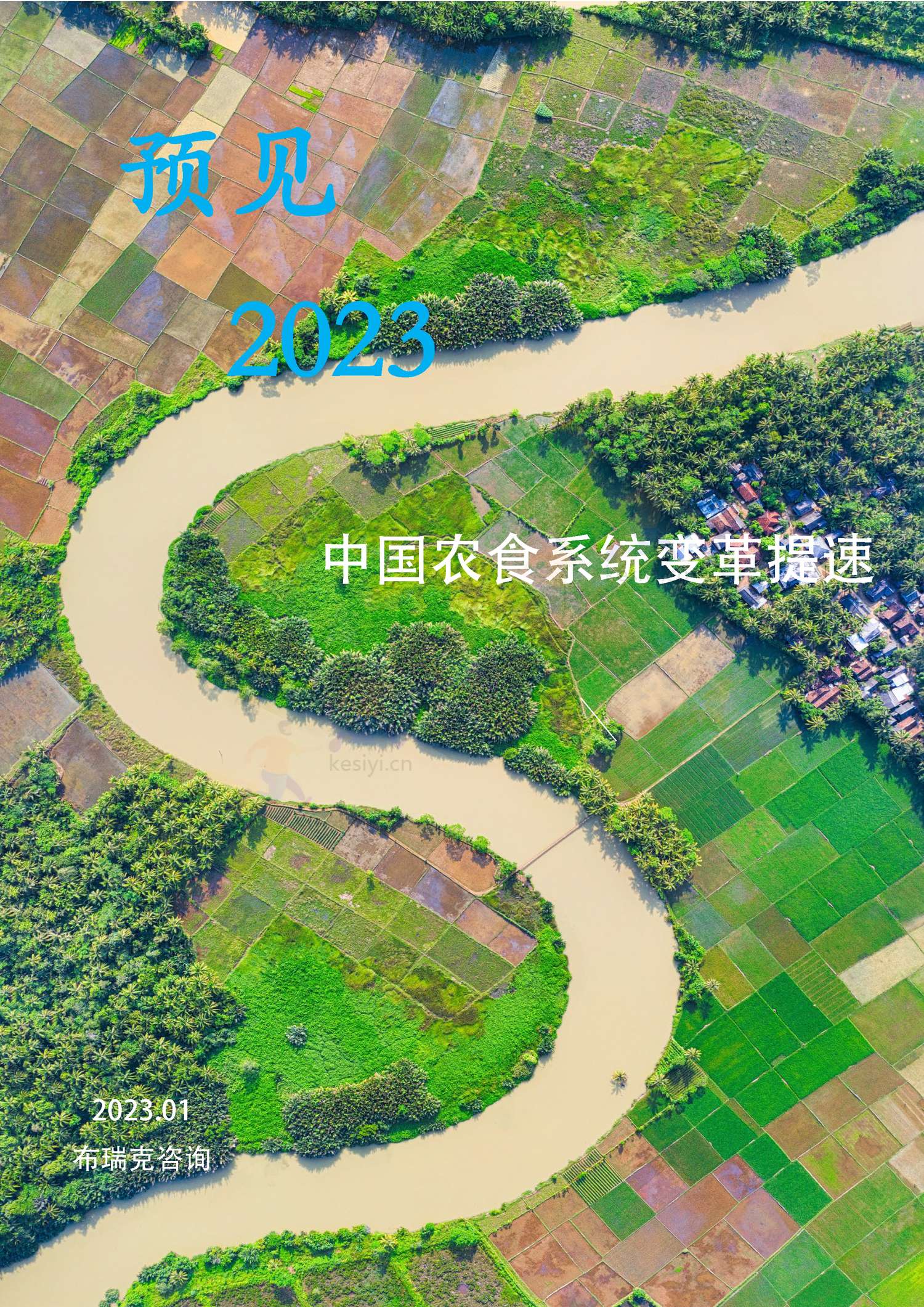 预见2023:中国农业趋势观察-布瑞克咨询 预见2023:中国农业趋势观察-布瑞克咨询