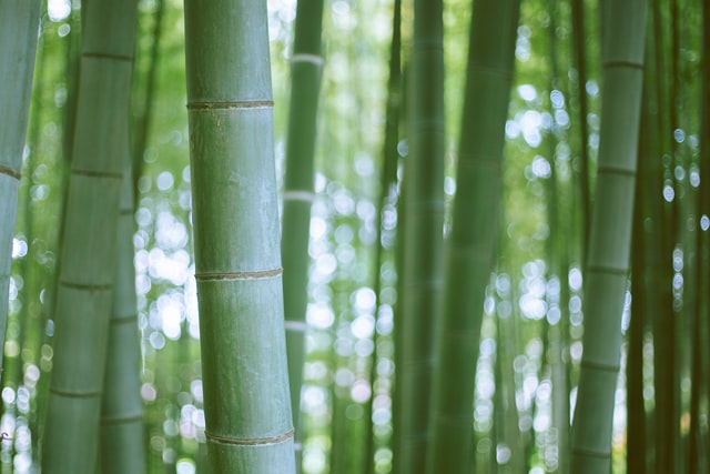 关于坚持的诗词名句(图1)