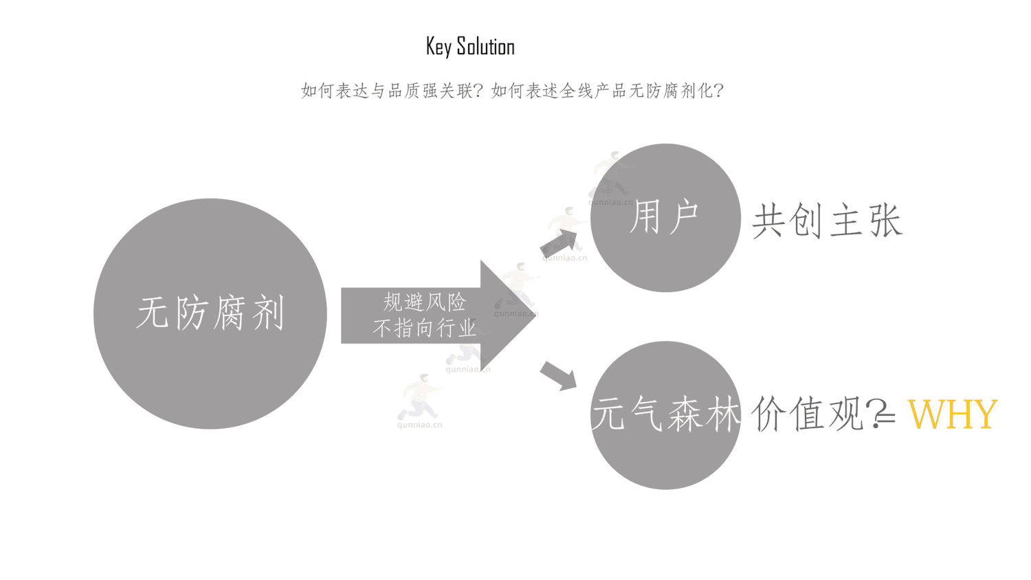 元气森林2021品牌发布会整合营销策划方案 元气森林2021品牌发布会整合营销策划方案