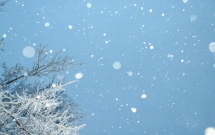 冬天第一场雪的文案