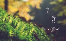 三月再见四月你好的语录