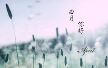 四月你好的心情说说