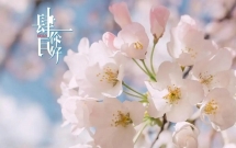 50个告别三月迎接四月的句子
