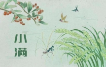 50句小满节气祝福语