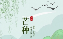 关于芒种的节气文案