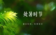 那些温柔走心的处暑文案
